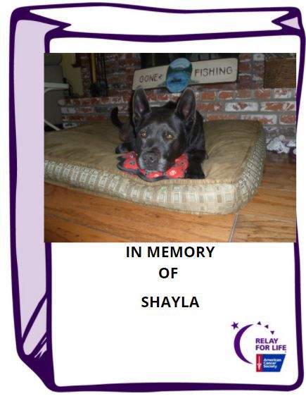 2021/05/Shayla_-_in_memory.jpg