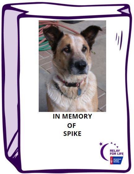 2021/05/Spike_-_in_memory.jpg