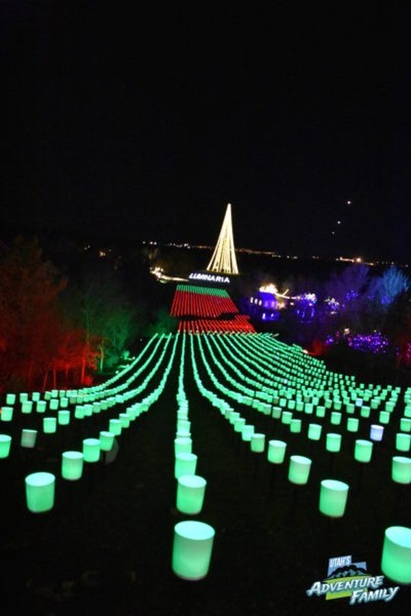 luminaria photo