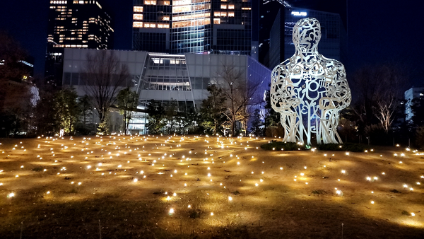 Luminaria photo