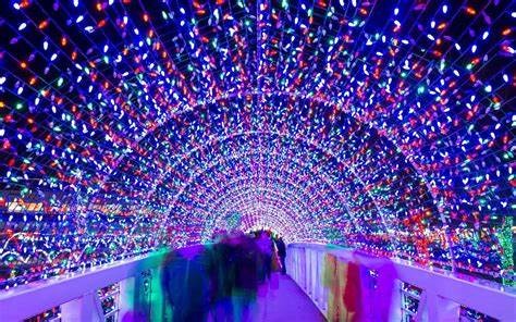 Photo shared for in honor of To all