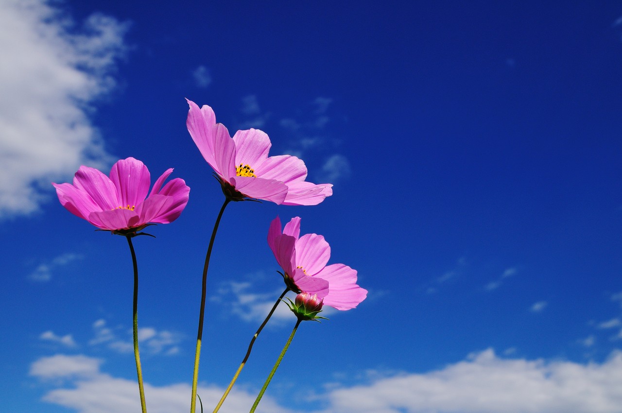 Photo shared for in support of everyone