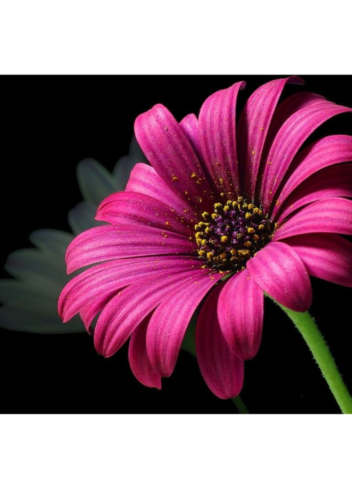 Photo shared for in support of Everyone